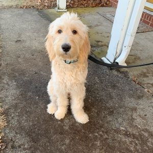 Meet your Posher, Melody